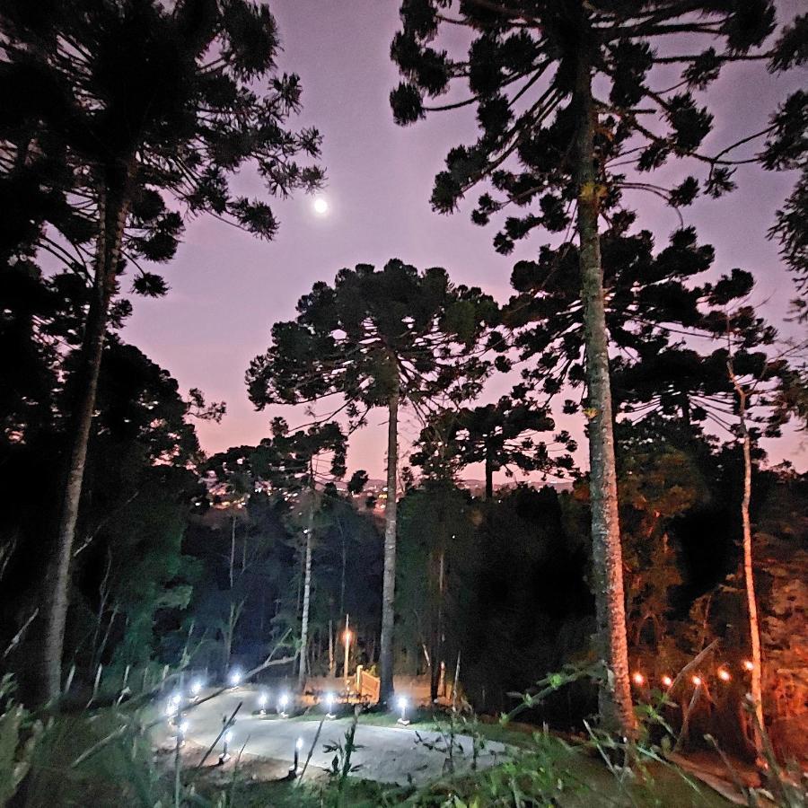 Chale Rustico Na Montanha Em Campos De Jordao * Campos do Jordão