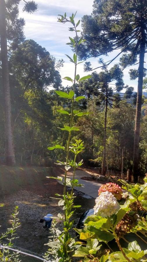 Chalé Chale Rustico Na Montanha Em Campos De Jordao *